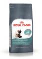  Royal Canin Hairball Care       2